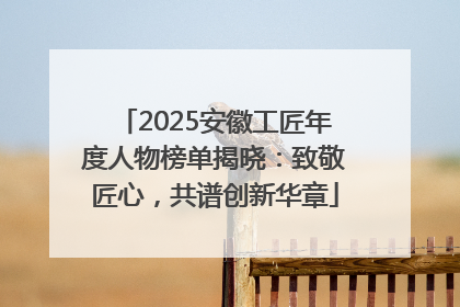 2025安徽工匠年度人物榜单揭晓：致敬匠心，共谱创新华章