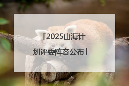 2025山海计划评委阵容公布