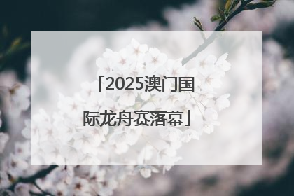 2025澳门国际龙舟赛落幕