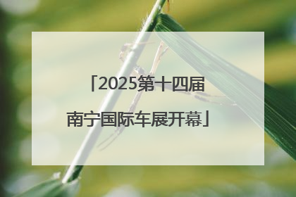 2025第十四届南宁国际车展开幕