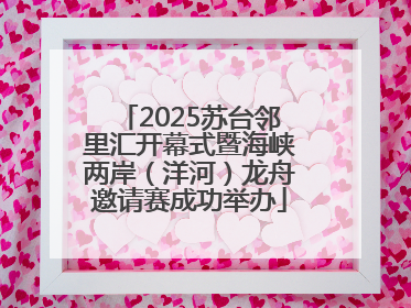 2025苏台邻里汇开幕式暨海峡两岸（洋河）龙舟邀请赛成功举办