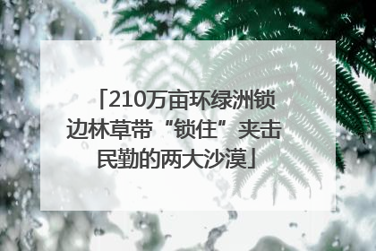 210万亩环绿洲锁边林草带“锁住”夹击民勤的两大沙漠