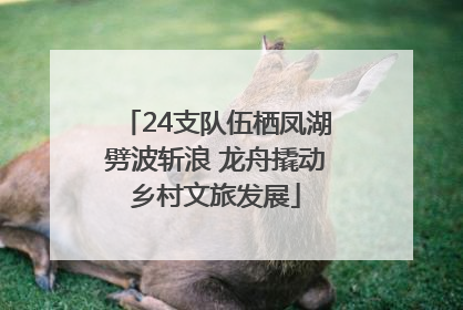 24支队伍栖凤湖劈波斩浪 龙舟撬动乡村文旅发展