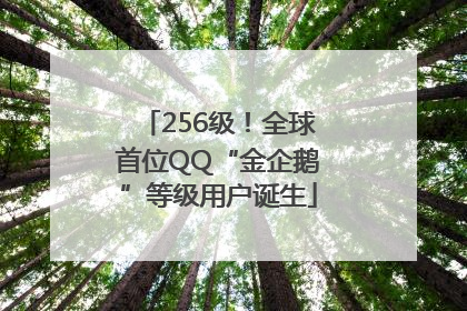 256级！全球首位QQ“金企鹅”等级用户诞生