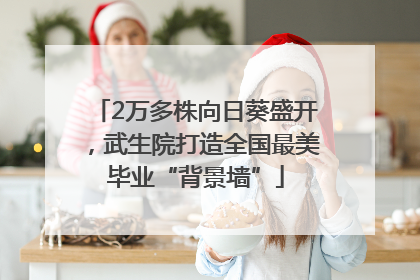 2万多株向日葵盛开，武生院打造全国最美毕业“背景墙”