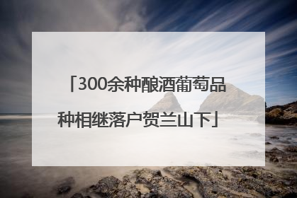 300余种酿酒葡萄品种相继落户贺兰山下