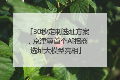 30秒定制选址方案，京津冀首个AI招商选址大模型亮相