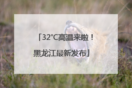 32℃高温来啦！黑龙江最新发布