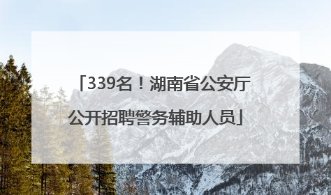 339名！湖南省公安厅公开招聘警务辅助人员