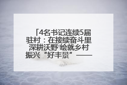 4名书记连续5届驻村：在接续奋斗里深耕沃野 绘就乡村振兴“好丰景”——浦发银行南京分行助力脱贫攻坚、帮促乡村振兴记事（二）