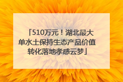 510万元！湖北最大单水土保持生态产品价值转化落地孝感云梦