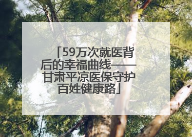 59万次就医背后的幸福曲线——甘肃平凉医保守护百姓健康路