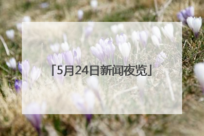 5月24日新闻夜览