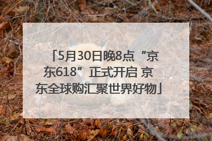 5月30日晚8点“京东618”正式开启 京东全球购汇聚世界好物