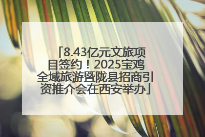 8.43亿元文旅项目签约！2025宝鸡全域旅游暨陇县招商引资推介会在西安举办