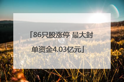 86只股涨停 最大封单资金4.03亿元
