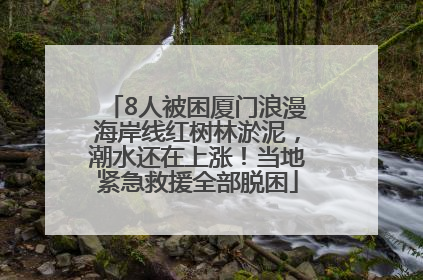 8人被困厦门浪漫海岸线红树林淤泥，潮水还在上涨！当地紧急救援全部脱困