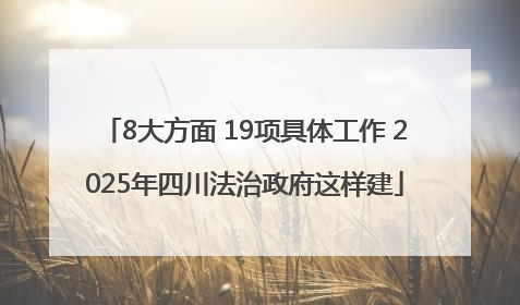 8大方面 19项具体工作 2025年四川法治政府这样建