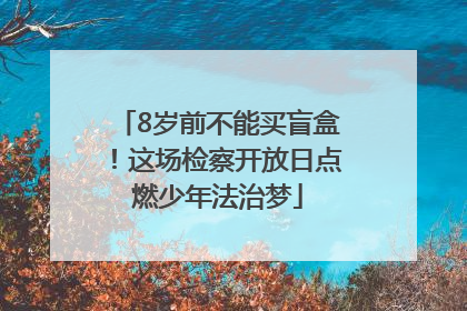 8岁前不能买盲盒！这场检察开放日点燃少年法治梦