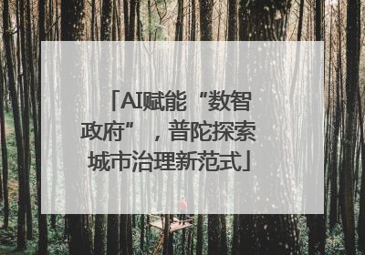 AI赋能“数智政府”，普陀探索城市治理新范式