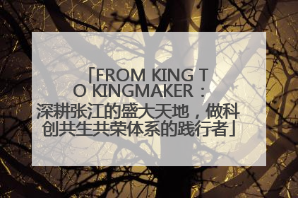 FROM KING TO KINGMAKER:深耕张江的盛大天地,做科创共生共荣体系的践行者