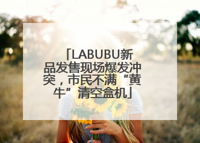 LABUBU新品发售现场爆发冲突，市民不满“黄牛”清空盒机