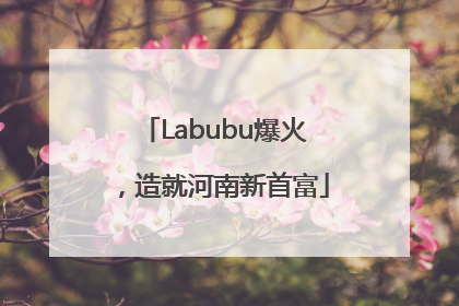 Labubu爆火，造就河南新首富