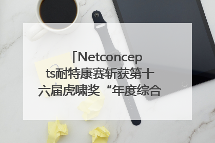 Netconcepts耐特康赛斩获第十六届虎啸奖“年度综合服务商”大奖