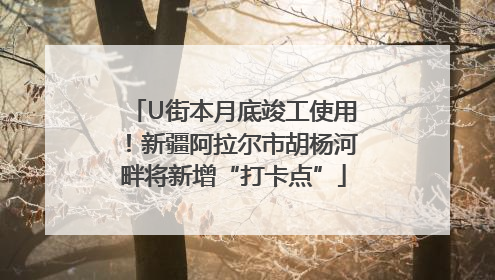 U街本月底竣工使用！新疆阿拉尔市胡杨河畔将新增“打卡点”